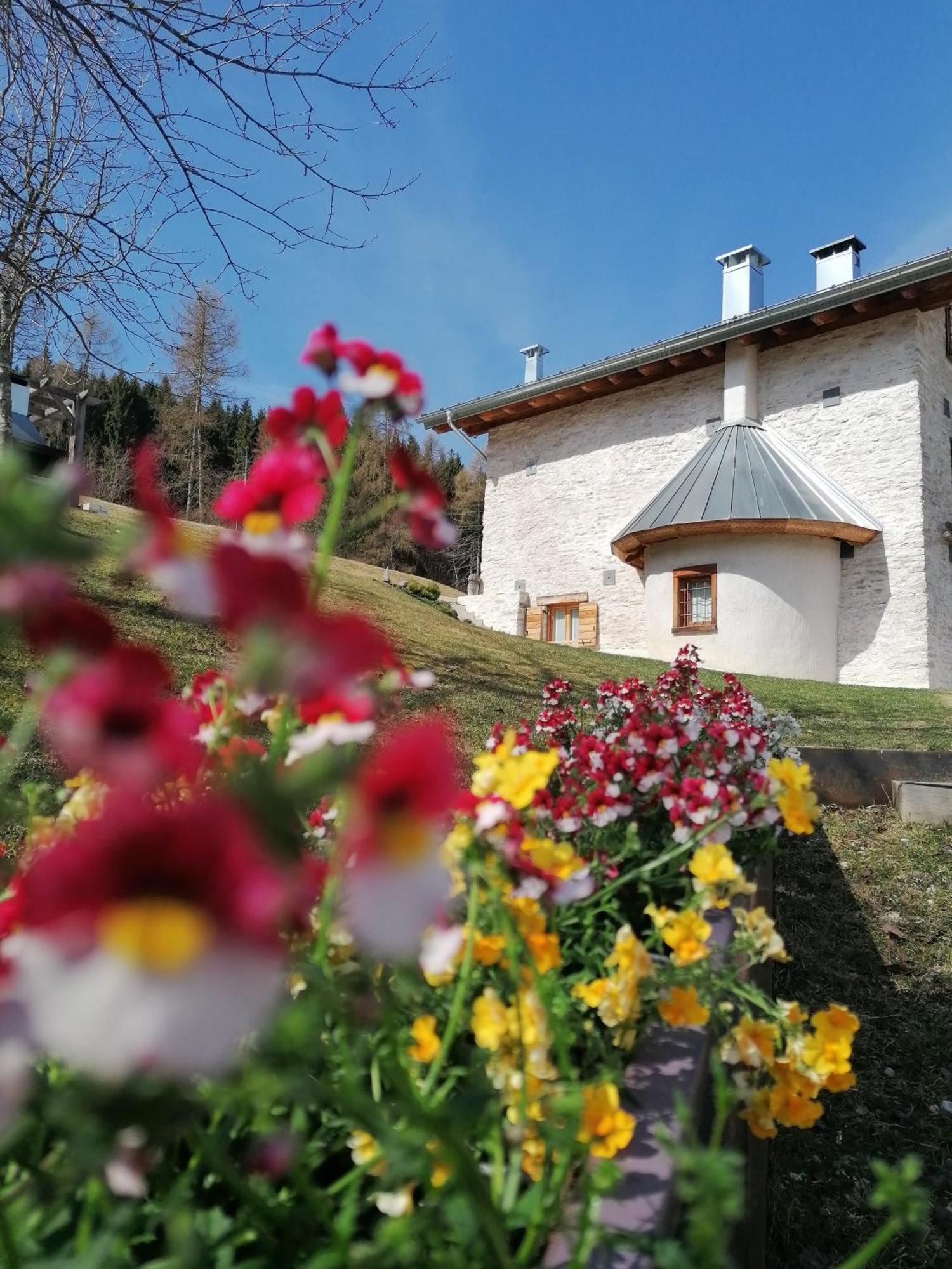 Maso Stella Villa Castello Tesino Eksteriør bilde